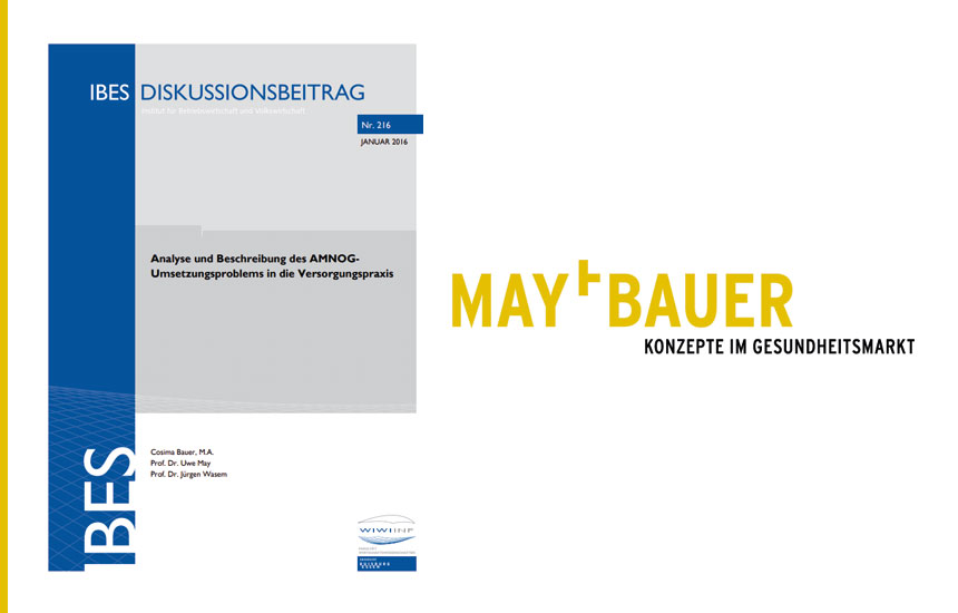 bild-ibes-analyse-beschreibung